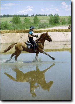 reflection in the water