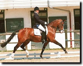 Sally Makin, British Pony Rider