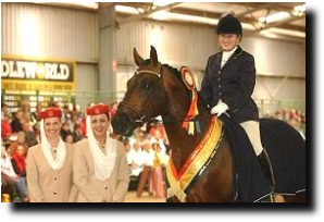 Dr Kerry Mack on Mayfield Pzazz at the 2002 Dressage With the Stars