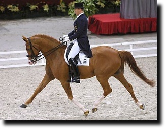 Klimke and White Foot at the 2002 CDI Paris