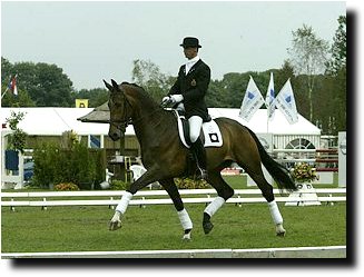 Paso Doble, ridden by Pavo Cup guest judge Stefan van Ingelgem