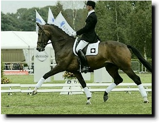 Patser with judge Stefan van Ingelgem at the 2002 Pavo Cup