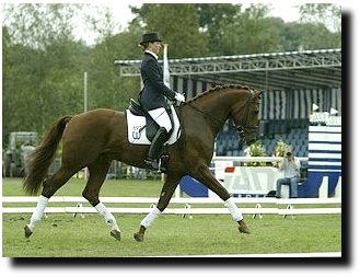 Riant at the 2002 Pavo Cup Finals ridden by Marlies van Baalen