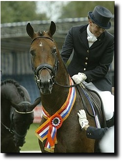 Hilltop Rousseau at the 2002 Pavo Cup