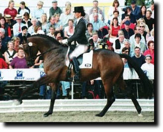 Royal Prince with Silke Schaerffer