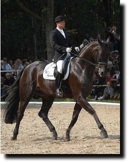 Uwe Schwanz at the 2003 Bundeschampionate with Rivellino