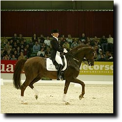 Kristy Oatley Nist on Don Bolero