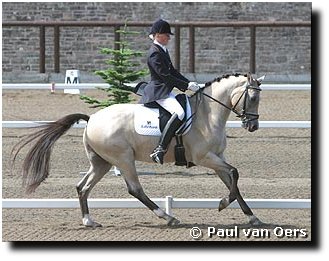 Dutch pony rider Inge Verbeek on Bartje at the 2003 European Pony Championships