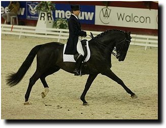 British dressage rider Wayne Channon on Lorenzo