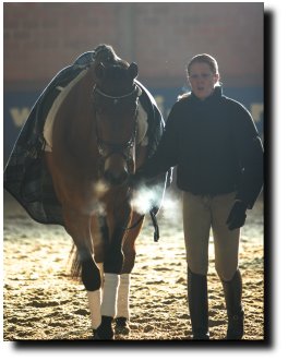 Steffi leading a horse back to his stall after the try out