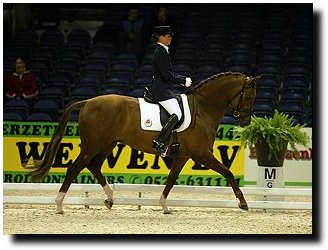 Phoenix at the 2003 Zwolle Stallion Show