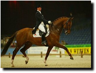 Kirsten Beckers on Broere Phoenix