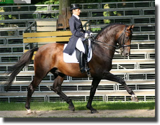 Jeanette Haazen and Rockefeller