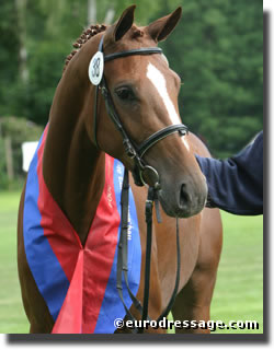 Love Story, 2004 Rastede champion