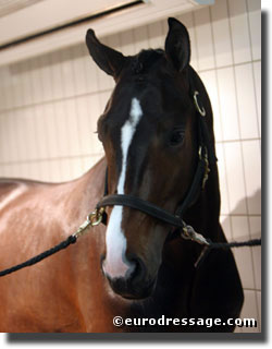 the beautiful Rosentanz