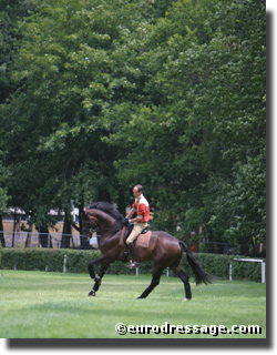 Florencio on the race track in Verden