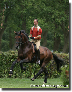 Beautiful photo: Florencio cantering on the race track