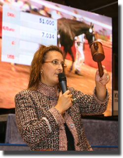 Stallion Auction in Herning