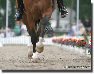 Arty hooves on Martin collins footing