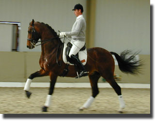 Carl Hester on Pro Set