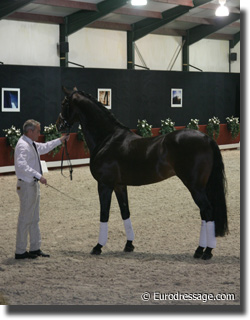 Andrew McLean handling Aachen