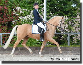 Annabel Frenzen on White Gold