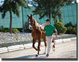 Boaventura Freire with Derby L