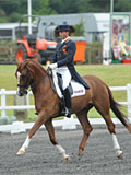 Carl Hester on Damino