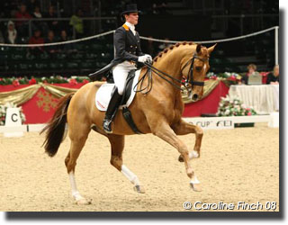 Adelinde Cornelissen on Parzival