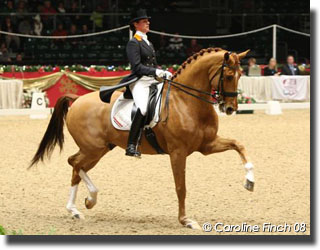 Adelinde Cornelissen on Parzival