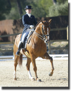 Mafalda Mendez - D'Artagnan