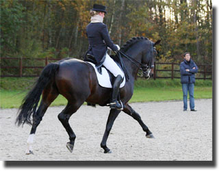 Anouck Hoet training Wild Diamond with her neck collar. Trainer wim verwimp watches