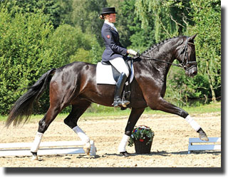 Durbridge - under Theresa Wahler at the 2008 Klosterhof Medingen auction