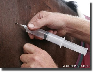 Doping your horse?