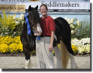 Gipsy Cob winner