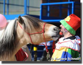 clown with horse