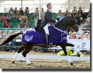 Carl Hester on Liebling