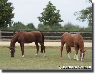 Gigolo and Fabienne, a few weeks ago