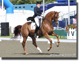 Holzer at the 2009 CDI Hickstead