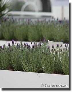 Rosemary decorations