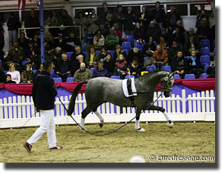 Lunging, rene tebbel's Sorento