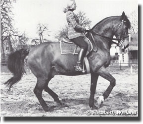 Granat at his home (Hörbranz by Bregenz / Lake Constance, Austria) in training, 1976