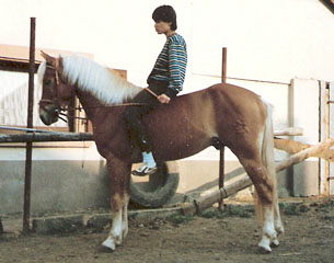 Stardust as a 3 year old