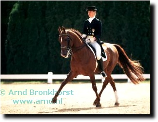 Archive photo: Pia Laus on Adrett at the 1995 European Dressage Championships in Luxembourg