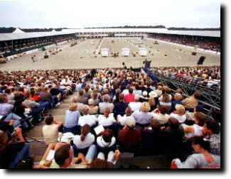 the 1999 European Dressage Championships hosted at Outdoor Gelderland in Arnheim