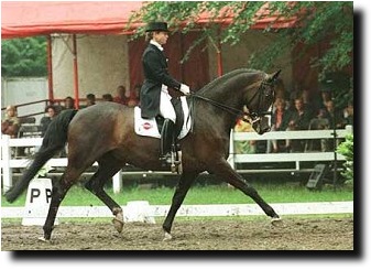 Isabell Werth and Anthony at the CDI Schoten in 1998 or 1999