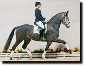 Royal Gala, as pictured in the 2002 Vechta Sprin Elite Auction catalog