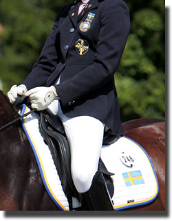 Swedish Dressage