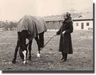 Merry Boy - The horse that brought Christine to dressage riding, she bought him later, so he was her first own horse and her first dressage horse. They were Swiss Champions 1967, Olympic reserve 1968, team bronze medal winners EC 1973.