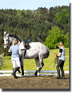 Christine working horses in hand